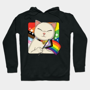 Cute Cat Holding Progress Pride Flag Hoodie